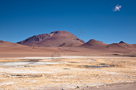 智利阿塔卡马沙漠冷冻的环礁湖孤独旅行爬坡荒野苔藓自由风景干旱高原地区图片