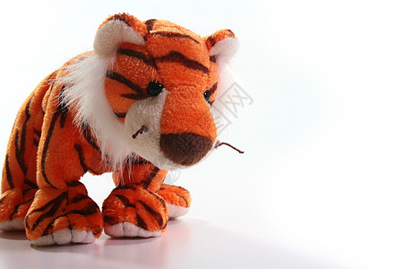 老虎玩具玩具老虎橙子日历野猫背景