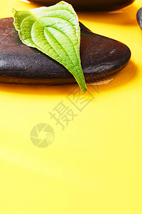 SPA或zen六氯环乙烷生态绿色树叶石头环境岩石冥想黑色黄色叶子背景图片