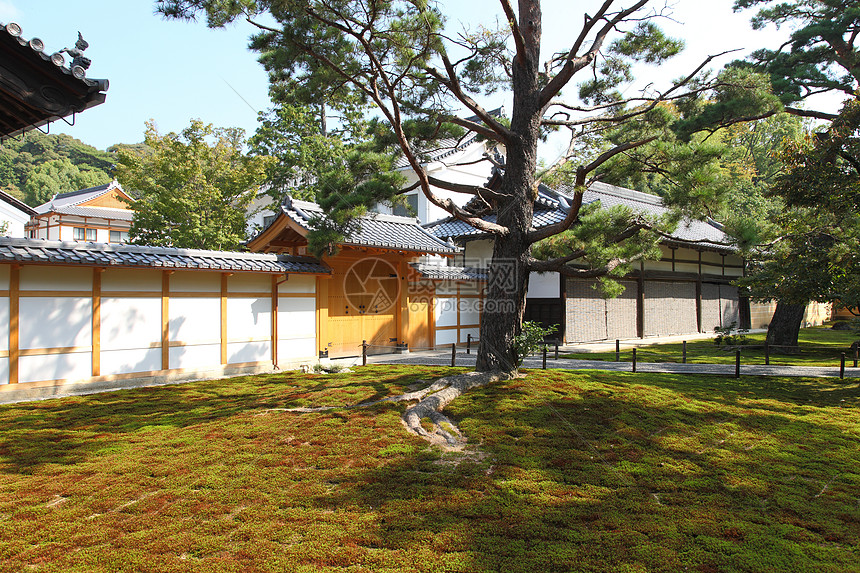 日本花园控制佛教徒房子清教徒几何地均衡文化地面保养传统高清图片下载正版图片320426042摄图网