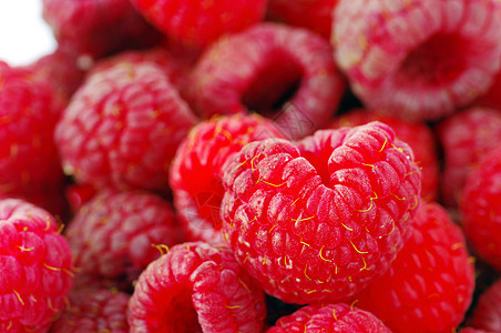 新鲜草莓作物图片