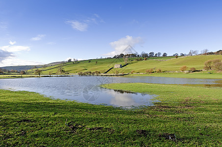 Swaledale河谷绿色乡村动物蓝色场地天空农田哺乳动物图片