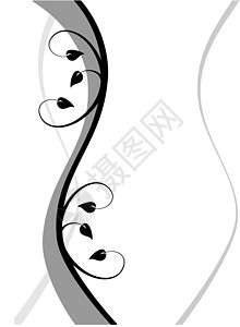 黑白抽象的花形背景Name藤蔓白色创造力漩涡叶子植物曲线墙纸房间黑色图片