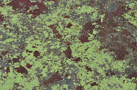 水粘黏液绿色池塘粘液高清图片下载正版图片320427107摄图网