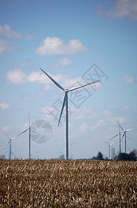 风风涡轮科技技术树木涡轮机风力绿色风车资源场地图片