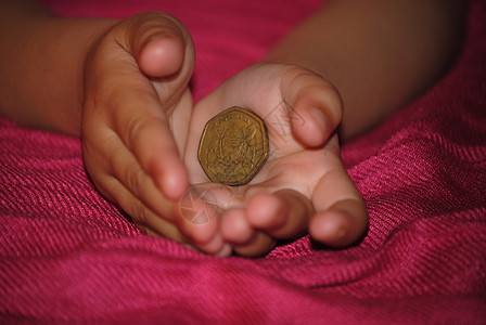 博斯瓦尼亚硬币图片
