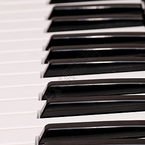 钢琴键乐器钥匙电子水平合成器笔记插图白色旋律键盘图片