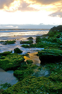 澳大利亚海礁沿海海岸苔藓海岸线海滩海景海域风景日落冲浪图片