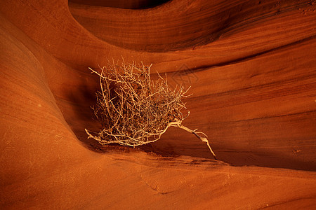 蚂蚁峡谷太阳阳光洞穴旅行沙漠黄色橙子游客岩石红色图片