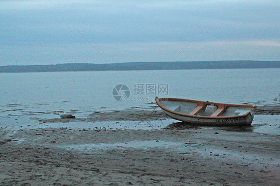 湖湖海滩湖滩阳光日出荒野野生动物图片