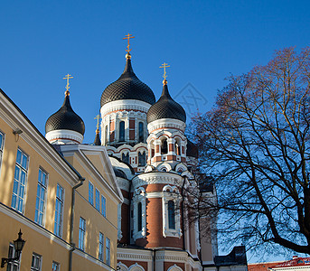 亚历山大内夫斯基大教堂教会圆顶街道旅行历史性大教堂建筑学宗教墙壁天炉图片