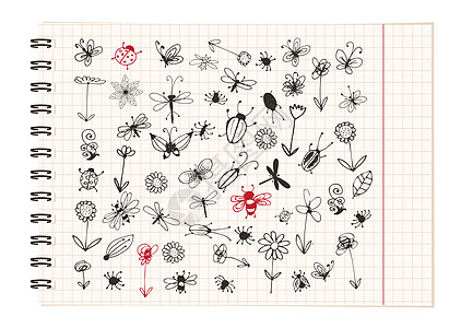 用于设计设计的昆虫草图收藏绘画害虫蜻蜓蝴蝶蚂蚁野生动物动物插图蜘蛛漏洞图片