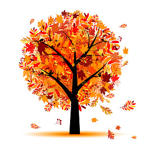 美丽的秋树 你设计森林圆圈橡木花瓣叶子环境季节艺术松鼠鸟类图片