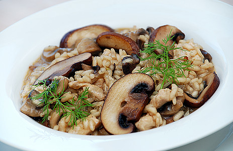 蘑菇饭盘子蘑菇草本植物食物午餐菌类饮食奶油状图片