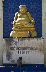 瓦多塔基亚普寺庙地标纪念碑石头宗教建筑猴子佛教徒图片