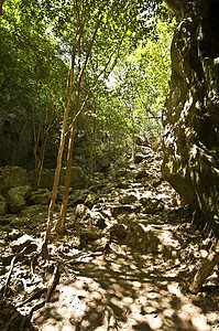 泰姆吸引力旅行宗教旅游地质学公园岩石洞穴国家历史图片