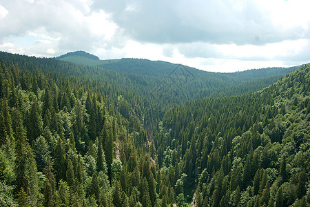 山山脉山脉农村风景树木绿色植物森林叶子环境爬坡地形图片