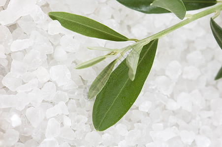新鲜橄榄枝和浴盐温泉黏土花瓣水晶卫生矿物质治疗擦洗洗澡皮肤图片