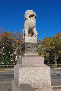狮子纪念碑城市艺术哺乳动物建筑雕像头发石头天空建筑学蓝色图片