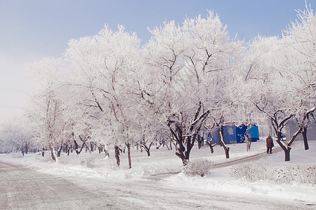 雪雪运动水平太阳森林白色蓝色天空天气阳光图片