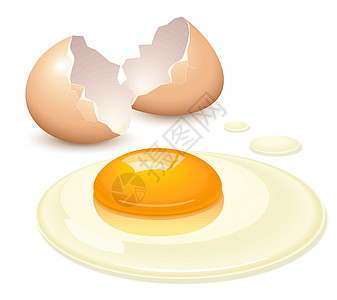 断蛋黄色食谱蛋黄白色烹饪食物插图蛋壳早餐图片