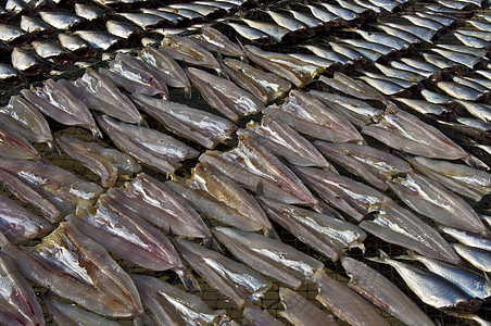 干鱼触手男人美食假期茶点饮食乌贼海鲜钓鱼市场图片