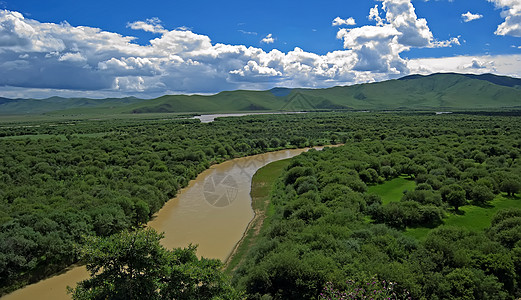 湿地环境山脉森林树木生态旅游图片