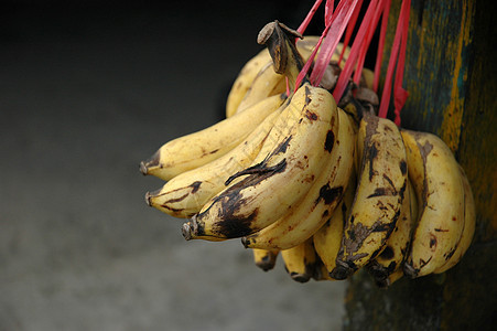 香蕉水果黑色热带黄色图片