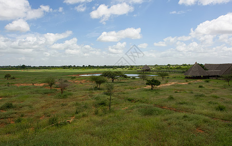 非洲大草原公园场地大草原风景野生动物天空土地旅行水平地平线图片