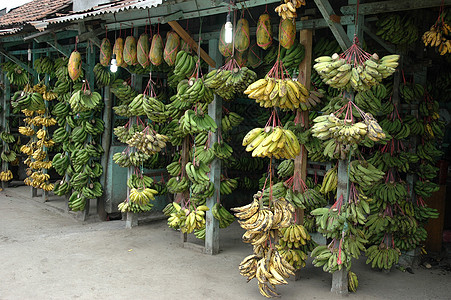 香蕉热带黄色黑色水果图片