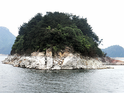 岛屿森林背景图片