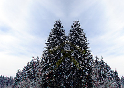 雪地景观天空白色森林冻结爬坡云杉山腰季节蓝色晴天图片