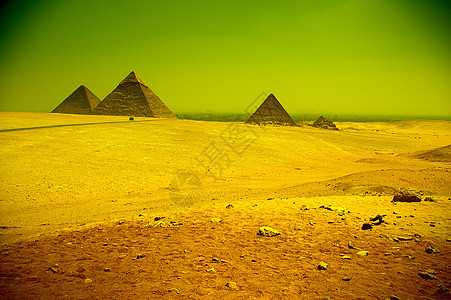 埃及的古老照片金字塔沙漠文化树叶沙丘旅行纪念碑科学宗教框架摄影图片