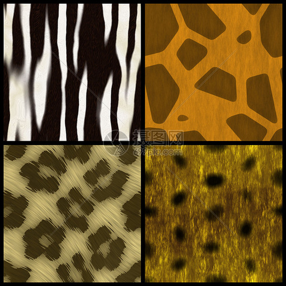 动物印刷收藏动物园纹理条纹纺织品打印皮肤野生动物斑点猎豹织物图片