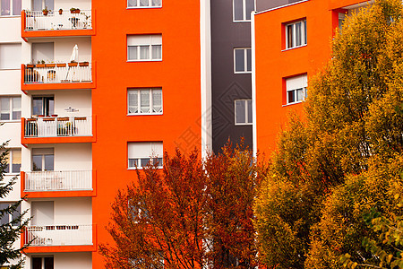 建筑和树木几何学绿色橙子红色线条灰色黑色城市窗户图片