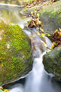 林中美丽的溪流速度运动场景力量茶点树木叶子瀑布岩石禅意图片