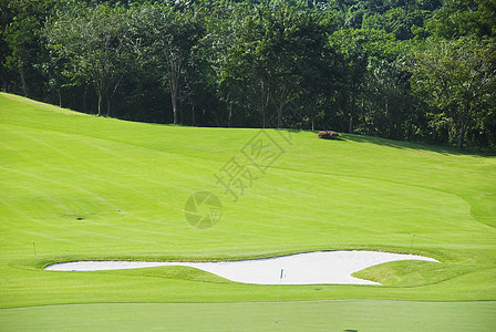 高尔夫 Greens摄影果岭活动高地树木绿色推杆休闲陷阱高尔夫球图片