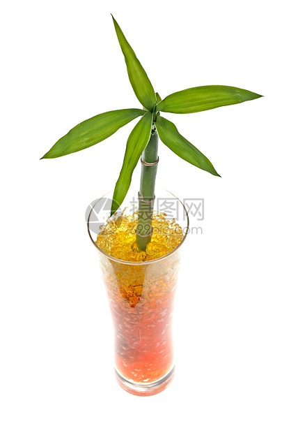 玻璃罐加竹子玻璃绿色植物凝胶工作室杯子花瓶白色叶子生活图片