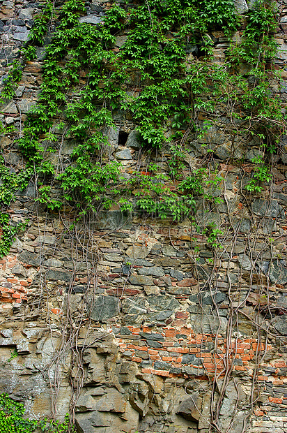 一个旧的华尔 辅助视图树篱石质墙纸侧翼岩石栏杆石头图片