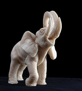 大象模型精神哺乳动物雕像运气佛教徒雕塑动物工匠金子荒野图片