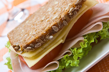 新鲜全餐奶酪和火腿三明治谷物盘子火腿包子乳制品饮食面包午餐食物美食图片
