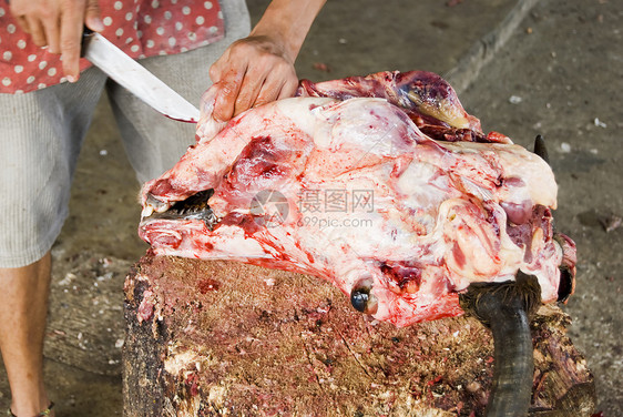 牛头食品男人菜市场喇叭鲜肉农贸市场美味家畜牛肉动物图片