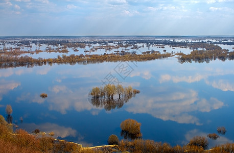 树上有从天而降的水草场景天空风景阳光季节蓝色土地树木城市森林图片