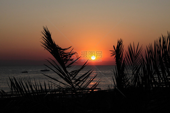 寂静的日落假期棕榈广场太阳海滩图片