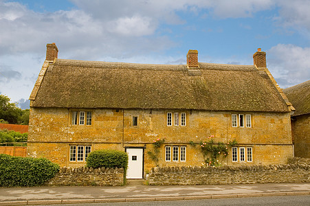 Dorset 中的隐居花朵石头稻草灌木丛房子村庄烟囱乡村门廊屋顶图片