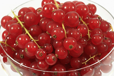 红长者食物营养红色水果醋栗花园浆果甜点图片