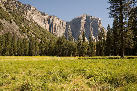 约塞米特河谷和El Capitan山脉花岗岩草地页岩擦洗树木刷子地面巨石悬崖图片