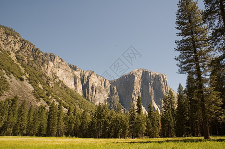 约塞米特河谷和El Capitan山脉花岗岩页岩刷子巨石草地地面悬崖树木擦洗图片