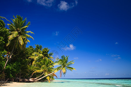 马尔代夫的热带天堂游客蓝色旅游风景地平线假期旅行太阳海景天空图片