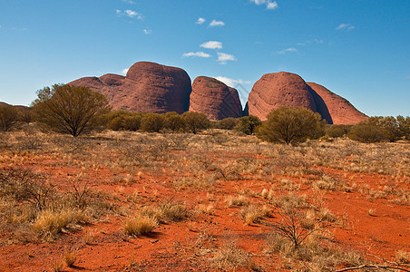 kata tjuta 千兆字节领土山脉旅行旅游假期风景岩石石头衬套地标图片